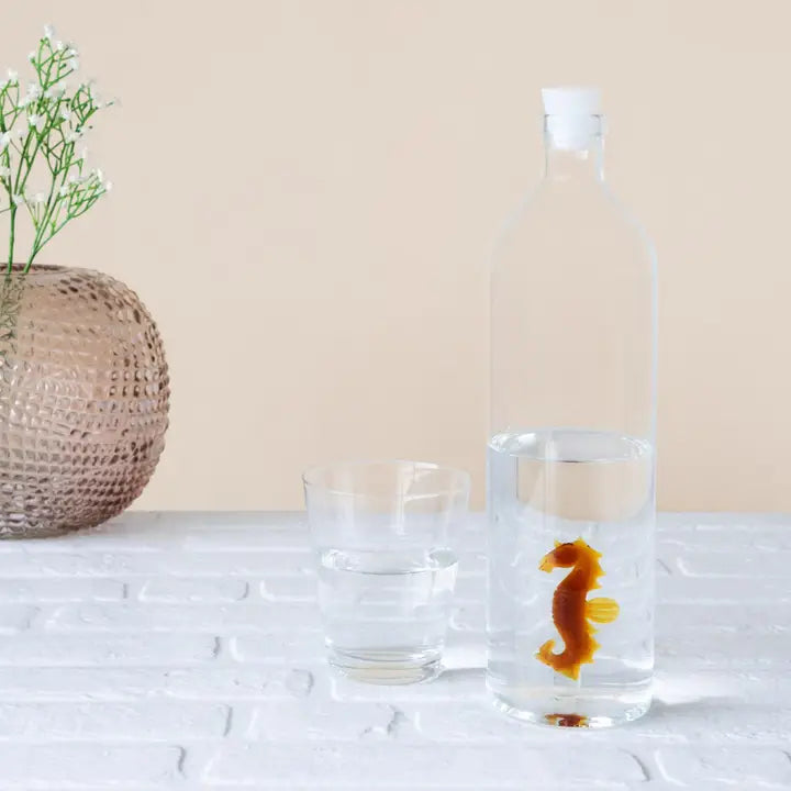 Bouteille Hippocampe 1,2L