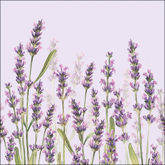 Serviettes en papier Lavender shades lilas