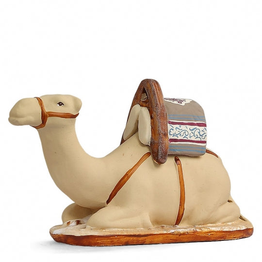 Camel Arterra 7cm